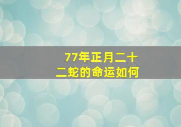 77年正月二十二蛇的命运如何