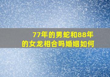 77年的男蛇和88年的女龙相合吗婚姻如何