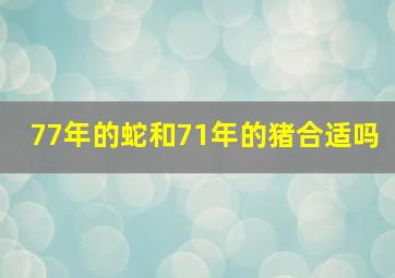 77年的蛇和71年的猪合适吗