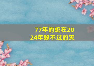 77年的蛇在2024年躲不过的灾