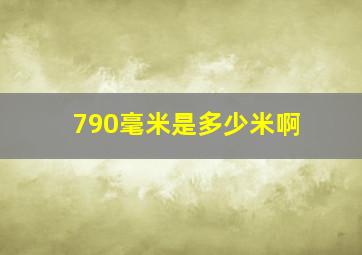 790毫米是多少米啊