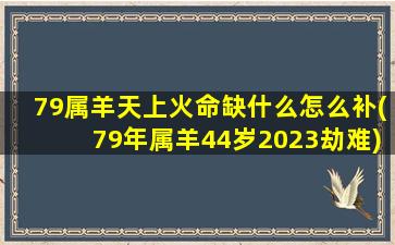 79属羊天上火命缺什么怎么补(79年属羊44岁2023劫难)