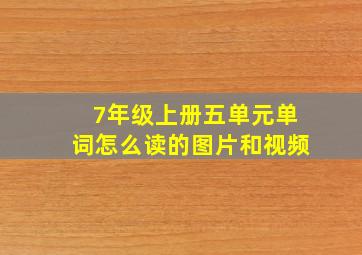 7年级上册五单元单词怎么读的图片和视频