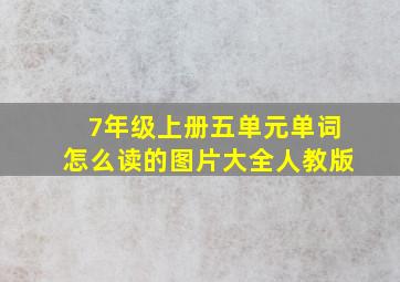 7年级上册五单元单词怎么读的图片大全人教版