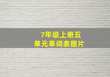 7年级上册五单元单词表图片