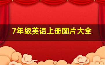 7年级英语上册图片大全