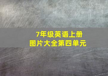 7年级英语上册图片大全第四单元