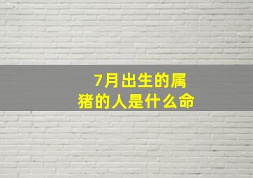 7月出生的属猪的人是什么命