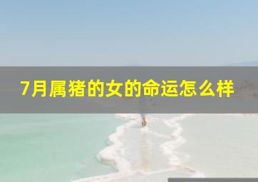 7月属猪的女的命运怎么样