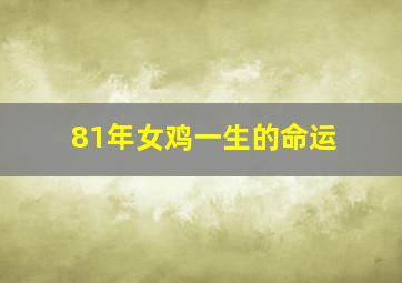 81年女鸡一生的命运