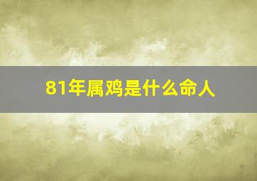 81年属鸡是什么命人