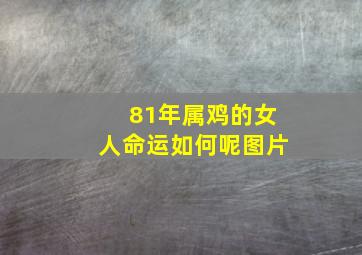 81年属鸡的女人命运如何呢图片