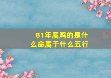 81年属鸡的是什么命属于什么五行