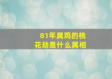 81年属鸡的桃花劫是什么属相