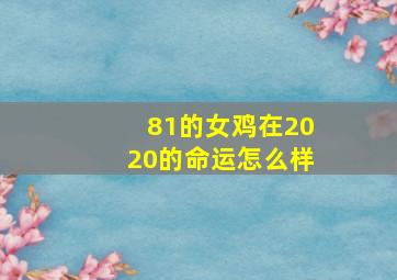 81的女鸡在2020的命运怎么样