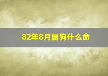 82年8月属狗什么命