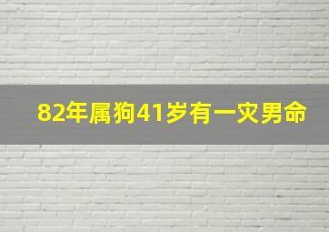 82年属狗41岁有一灾男命