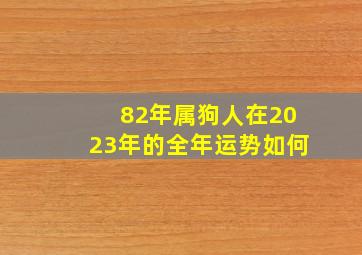 82年属狗人在2023年的全年运势如何