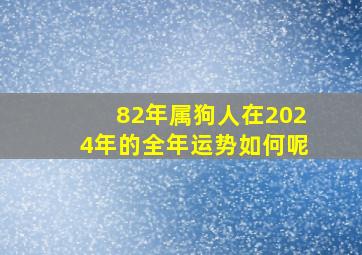 82年属狗人在2024年的全年运势如何呢