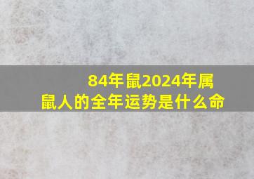 84年鼠2024年属鼠人的全年运势是什么命