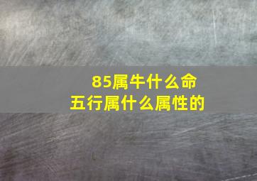 85属牛什么命五行属什么属性的