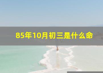 85年10月初三是什么命