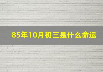 85年10月初三是什么命运