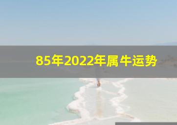 85年2022年属牛运势