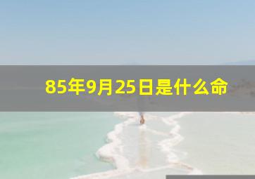 85年9月25日是什么命