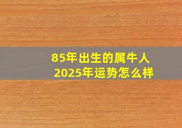 85年出生的属牛人2025年运势怎么样