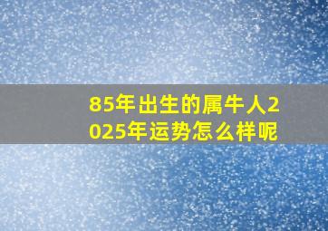 85年出生的属牛人2025年运势怎么样呢