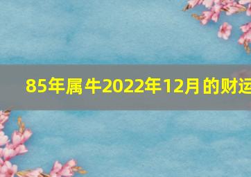 85年属牛2022年12月的财运