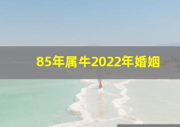 85年属牛2022年婚姻