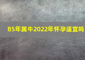 85年属牛2022年怀孕适宜吗