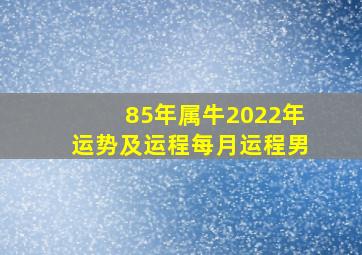 85年属牛2022年运势及运程每月运程男