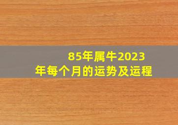 85年属牛2023年每个月的运势及运程