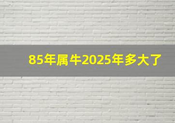 85年属牛2025年多大了