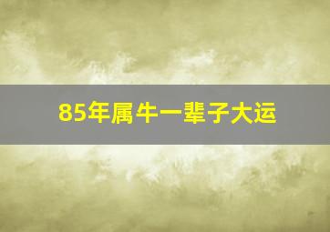 85年属牛一辈子大运