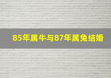 85年属牛与87年属兔结婚