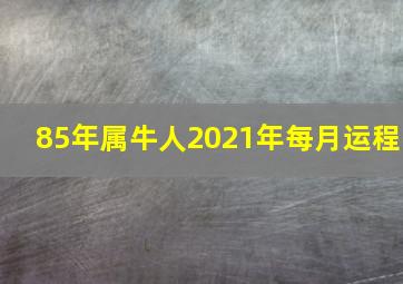 85年属牛人2021年每月运程