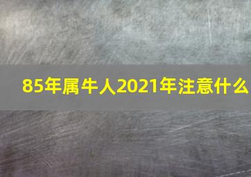 85年属牛人2021年注意什么