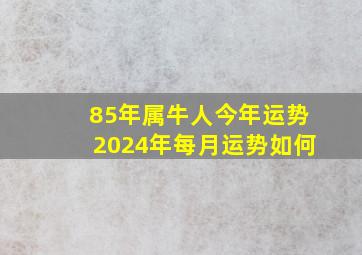 85年属牛人今年运势2024年每月运势如何