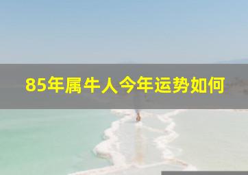 85年属牛人今年运势如何