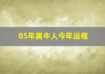 85年属牛人今年运程