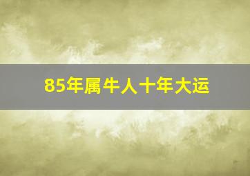 85年属牛人十年大运