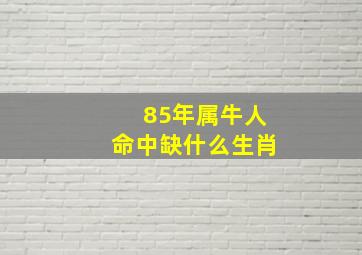 85年属牛人命中缺什么生肖