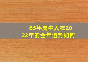 85年属牛人在2022年的全年运势如何