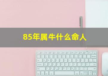 85年属牛什么命人