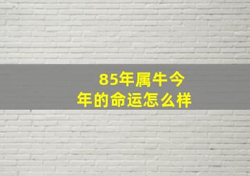 85年属牛今年的命运怎么样