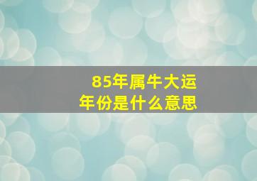 85年属牛大运年份是什么意思